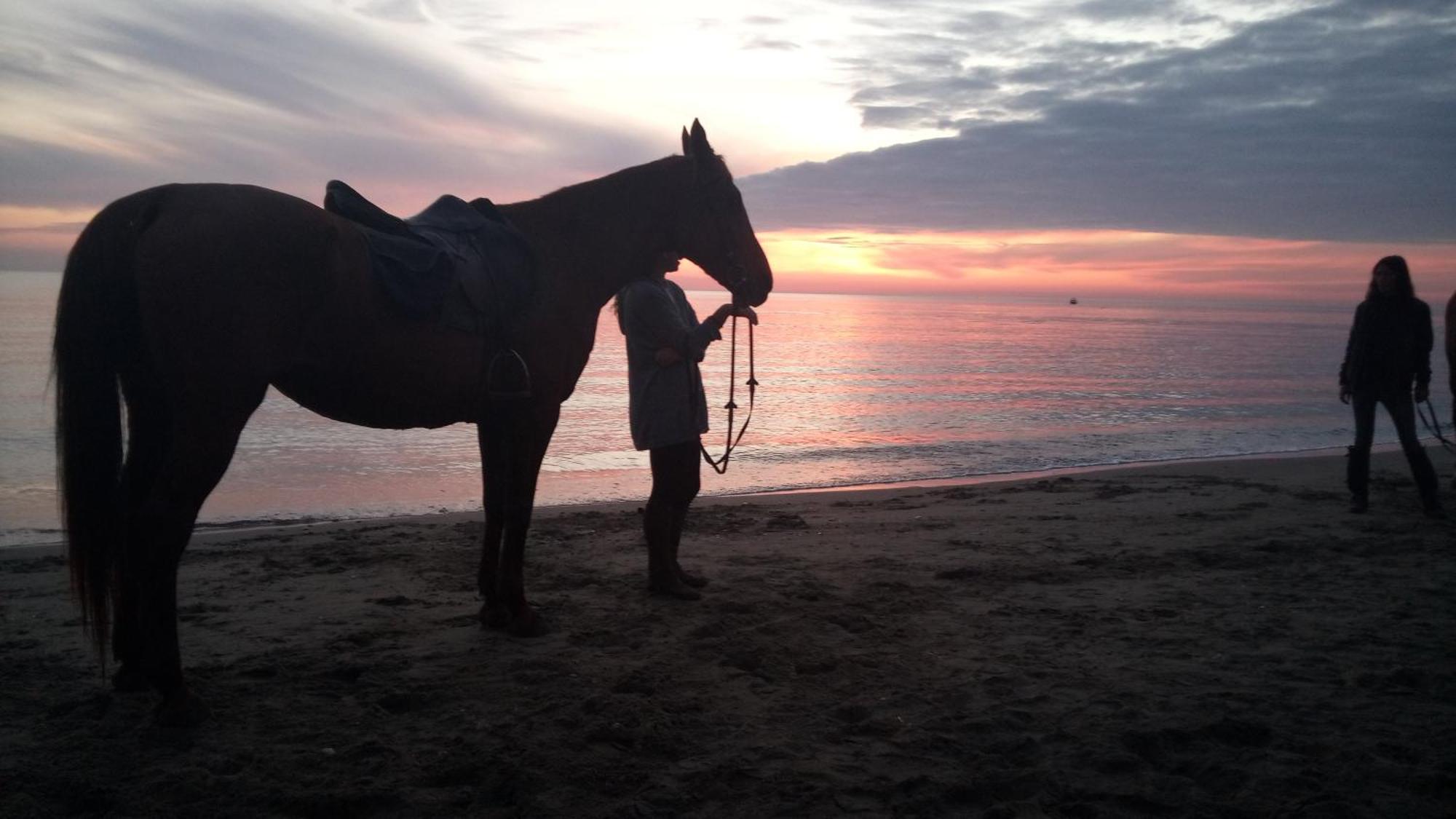 Appartamento 50 Mt Dal Mare Lido di Ostia Luaran gambar